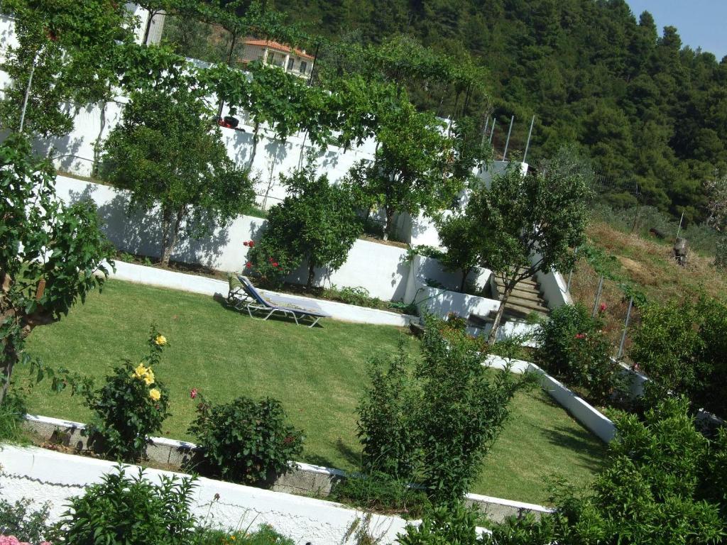 Skiathos Argento Kolios